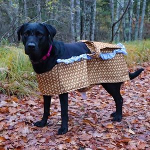 DOG basket costume only! Toto, Wizard of Oz!